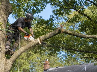 Crew member roped in above a garage roofline mid-cut